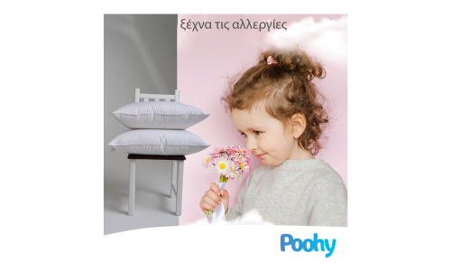 Πούπουλο χήνας κατά τις αλλεργίες: Η αλήθεια για τον υγιή ύπνο