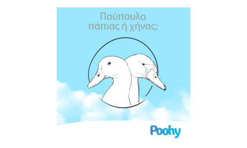 Πούπουλο πάπιας ή πούπουλο χήνας? Ποιο είναι καλύτερο?