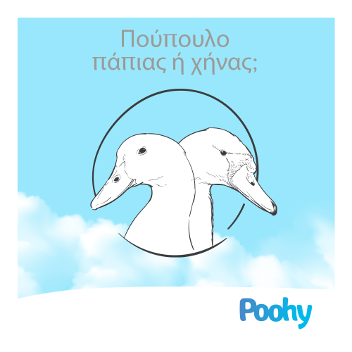 Πούπουλο πάπιας ή πούπουλο χήνας? Ποιο είναι καλύτερο?