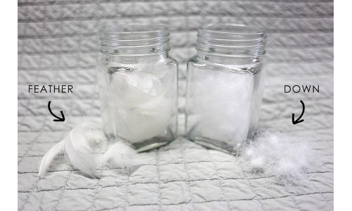 Τι είναι το πούπουλο χήνας και από πού προέρχεται?!