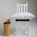 Μαξιλάρι ύπνου PREMIUM, 50x70 cm, Νέο Λευκό Ευρωπαϊκό πούπουλο, 90% πούπουλα FP 700 cuin, Ψηλό 1